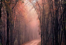 1xbet体育入口-蒙特雷进攻端火力强劲，欲破曼联防线